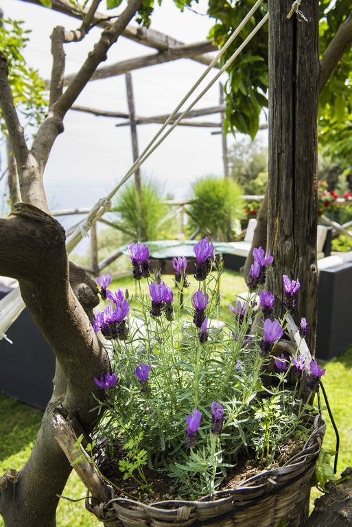 Villa Gianlica Praiano Bagian luar foto
